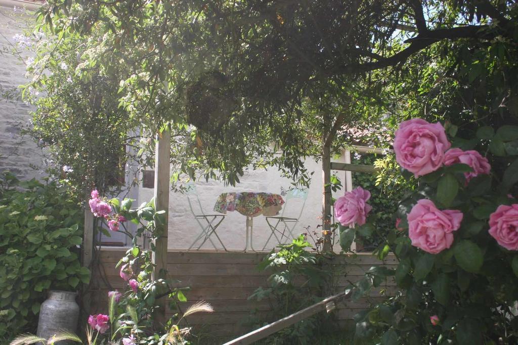 阿卡西亚之家住宿加早餐旅馆 Ferrières 客房 照片
